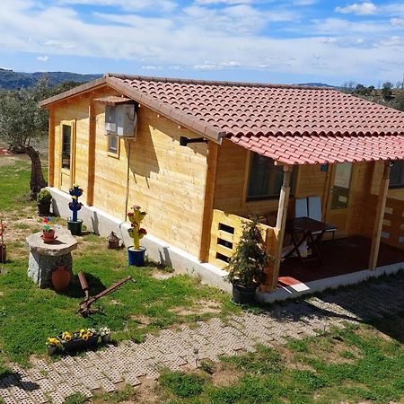 El Refugio De Las Arribes Villarino de los Aires 외부 사진